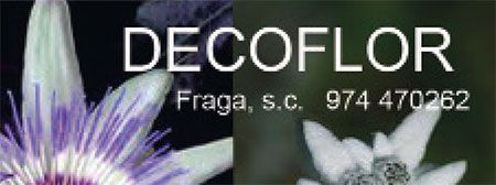 Decoflor