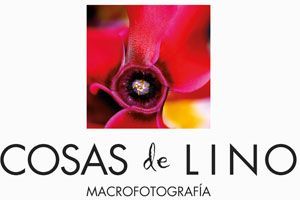 Exposición Cosas de Lino