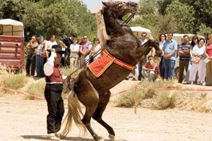 Concentración Ecuestre en Osso de Cinca