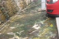 CHA denuncia las condiciones insalubres de la zona ajardinada del aparcamiento de la Pista en Fraga