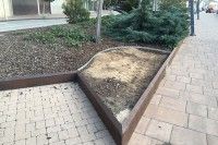 El Ayuntamiento rediseña la zona verde de la Avenida de Reyes Católicos