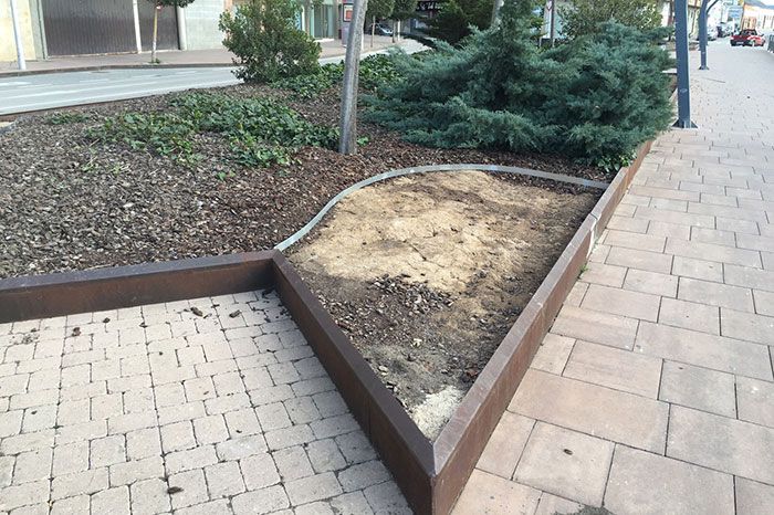 El Ayuntamiento rediseña la zona verde de la Avenida de Reyes Católicos