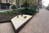 Finalizan las obras de rediseño de los jardines de la Avenida de Reyes Católicos