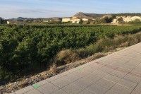 El Ayuntamiento de Fraga instalará una barandilla de seguridad en la zona alta de la Avenida de Aragón