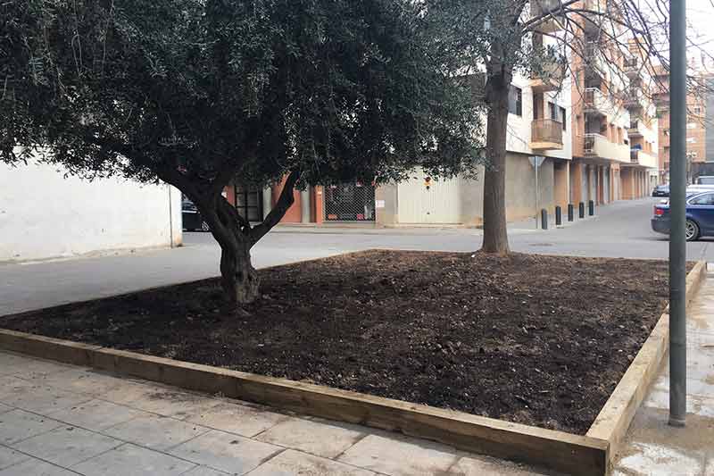 Finalizan las obras de acondicionado de la zona verde de la Plaza Riverola de Fraga